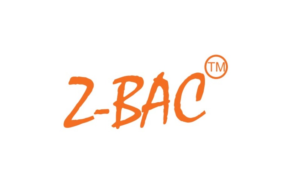Zbacteambuilding